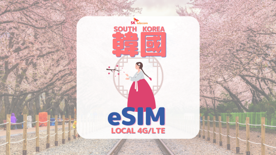 [Daiso e-coupon Giveaway | Korea eSIM] South Korea SKT Non-stop Local Data & Voice eSIM + Free T-Money