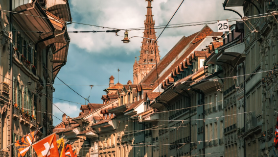 In-depth Tour of Berne, Switzerland: Panoramic Day Tour of Lake Thun + Spiez + Staubbach Falls