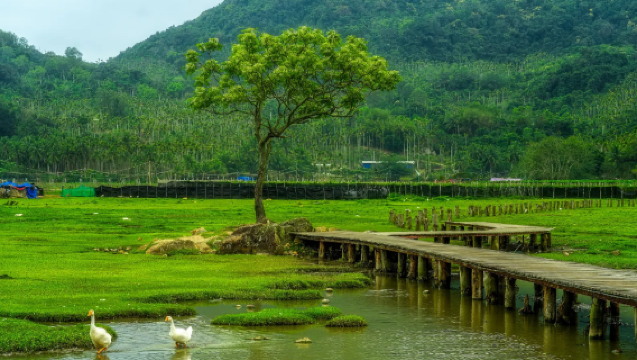 [Quản gia thương mại Cảng tự do] Dịch thuật chuyên nghiệp Hải Khẩu + xe đón tiêu chuẩn + lịch trình linh hoạt! Hội nghị khảo sát, kết nối đầu tư, chuyên sâu Cảng tự do, hỗ trợ bạn nắm bắt cơ hội tại Hải Nam