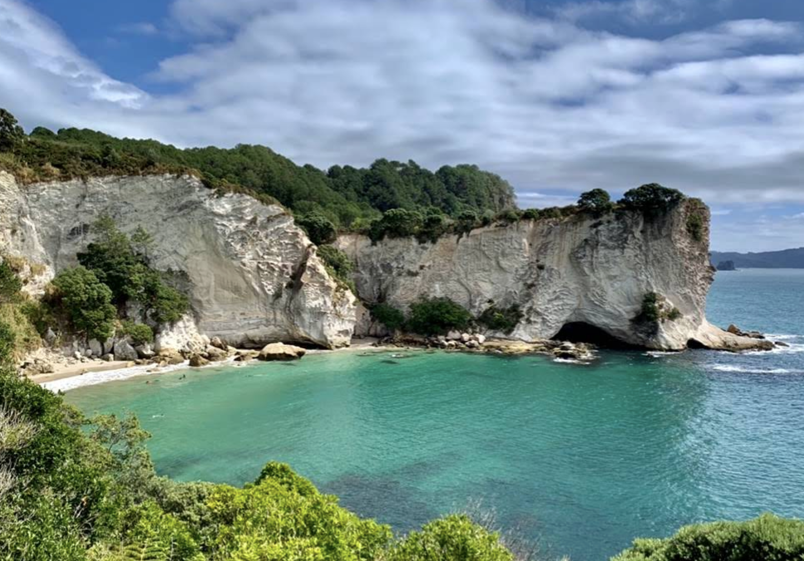 紐西蘭奧克蘭+派希亞+羅素島-可定制【中文專車-愜意舒適】