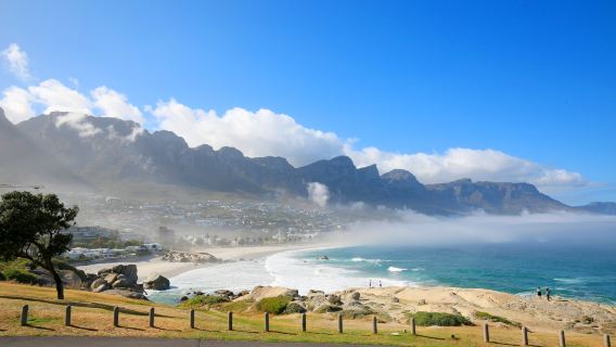 【南非開普敦市區體驗】羅本島+桌山+坎普斯灣（包車一日遊）