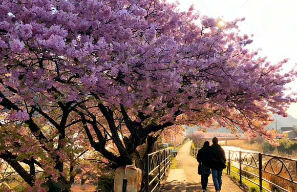 【河津櫻花】或【大室山】伊豆一日遊含觀海列車票|城崎海岸