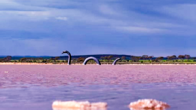 澳洲南澳阿德萊德 奔富酒莊+澎湃粉湖 1 日遊 精品小團