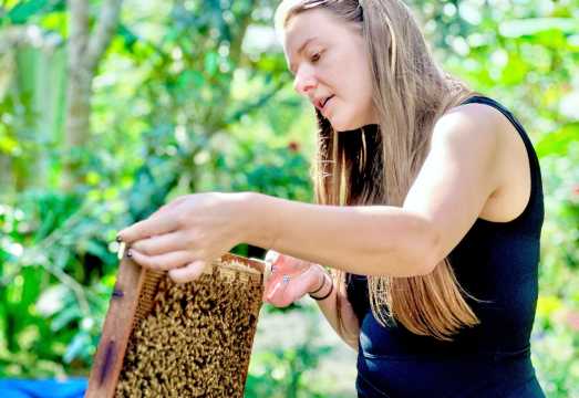 Phu Quoc: North Island Tour with Rach Vem Fishing Village, Starfish Beach & Bee Farm