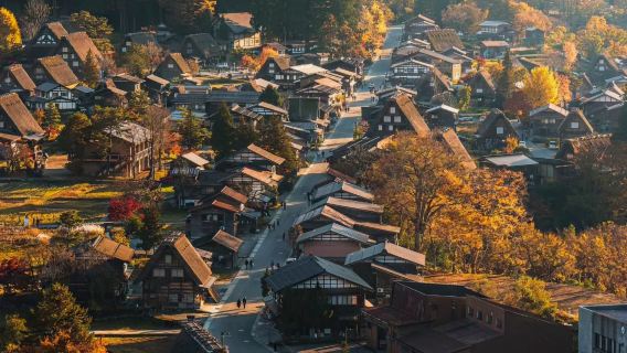1-day tour to Tokyo Wisteria + Hitachi Seaside Park + Kamiiso no Torii + Ashikaga Flower Park