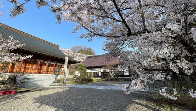 Nachmittagstour zu den Schneeaffen und nach Shibu Onsen (Abfahrt: Iiyama & Nozwa)