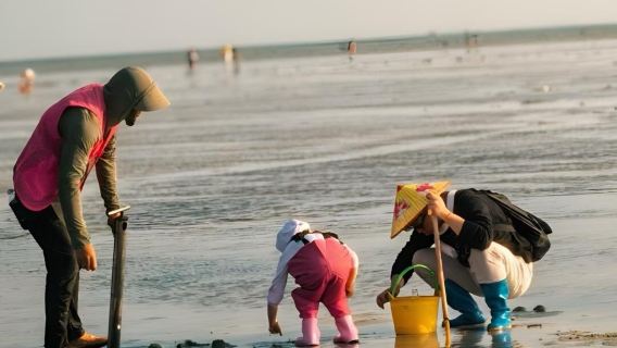 北海出海 | 親子活動 | 北海趕海趣味玩|大團小團深度趕海