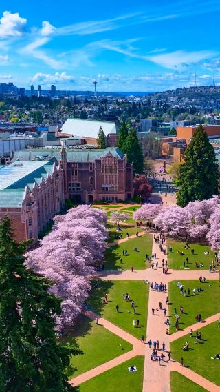 University of Washington + Bruce Lee and Brandon Lee grave sites + Kerry Park + The gum wall at unexpected productions improv + Ferris wheel (World cup city tour)