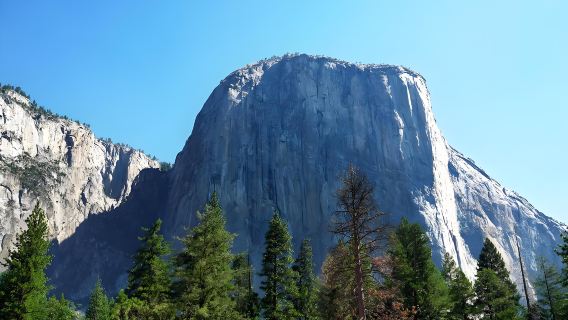 San Francisco, Verenigde Staten: Engelstalige groepstour met samengestelde individuele reizigers naar Yosemite Nationaal Park voor één dag | Inclusief toegangsticket