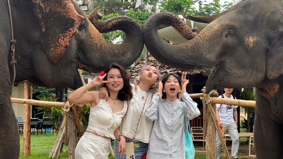 Halbtagestour zum Sticky-Wasserfall mit Café Elephant