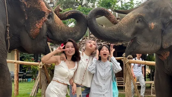 스티키 폭포 반나절 투어 (카페 엘리펀트 포함)