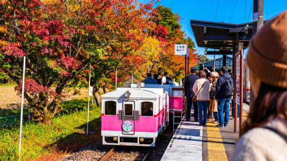九州紅葉満喫日帰りツアー｜高千穂峡（貸しボート体験オプション