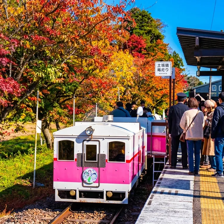 高千穂峡での紅葉鑑賞を楽しむ日帰り九州旅行。ボートツアー、景色の