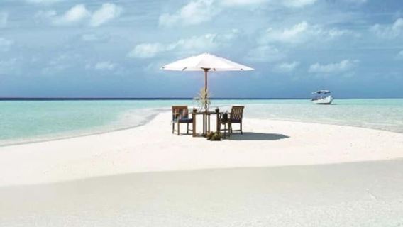 Zanzibar: Nakupenda sand bank with lunch and Jozani forest.