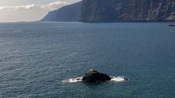 Tenerife: Masca, Mount Teide and Los Gigantes Cliffs Tour