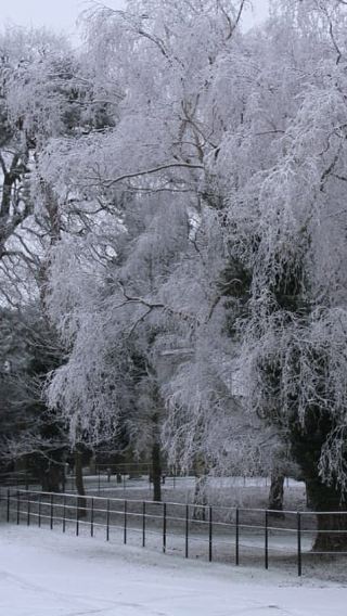 Christmas in Oxford, the Cotswolds and Stratford with Lunch