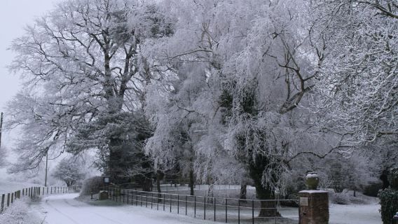 Christmas in Oxford, the Cotswolds and Stratford with Lunch
