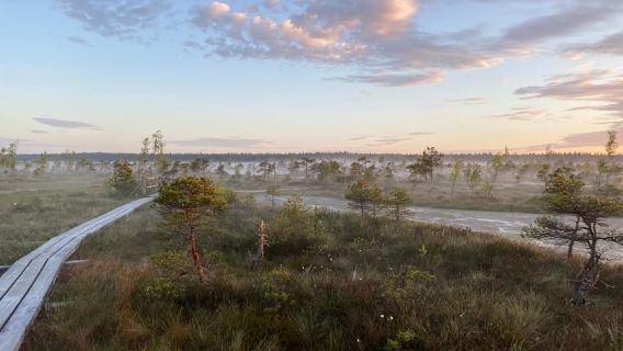 From Riga: Kemeri Bog & Seaside Jurmala