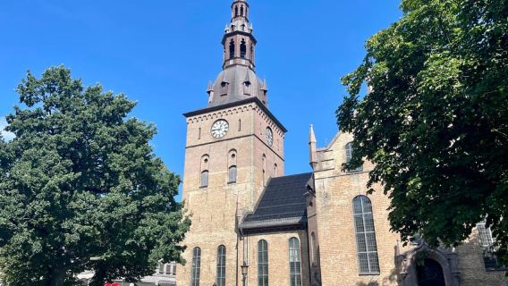 The Best of Oslo: City Tour + Free Local Secrets Guide