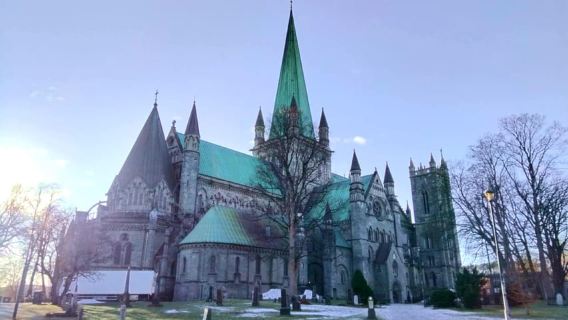 Trondheim : Explore the city of kings with a local guide