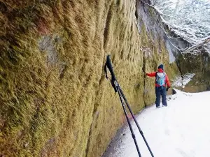 [Winter Program November-March] Moss Corridor, Sasazawa's Domon Winter Trek