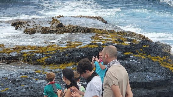 HonoluluTours