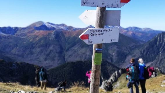 SMALL GROUP One Day Tour - Tatra Mountains and Zakopane Discovery