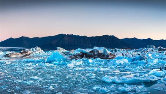 ReykjavikTours