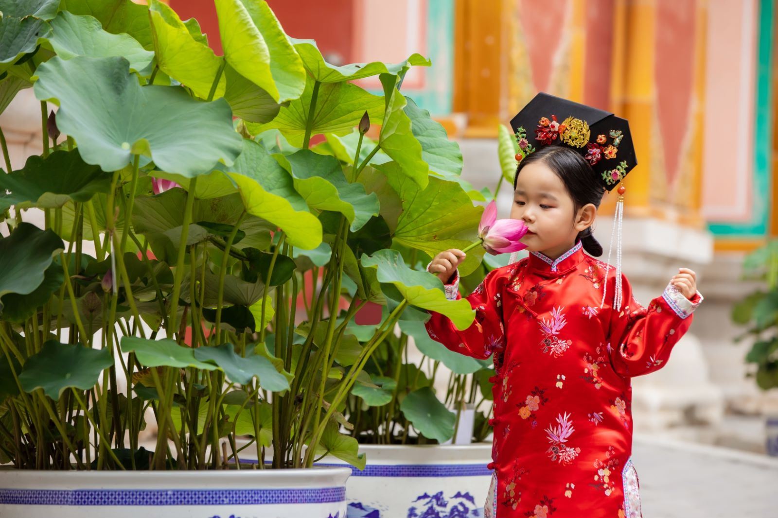 The Palace Museum half-day tour [VIP small group with English guide including Treasure Gallery 3.5h + in-depth commentary]