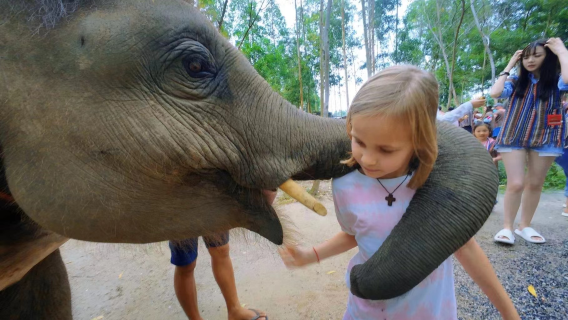 1-day tour to Elephant Care Park Nai Dee Phuket with island-wide transfer|Guided Tours in Chinese and English|Photographer service