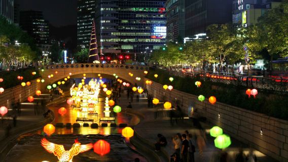 Seoul Night View | Gwangjang Market, Naksan Park, and Eungbongsan Mountain