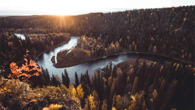 Excursión de un día al Parque nacional de Urho Kekkonen + Mina de oro de Saariselkä [Itinerario ajustable]