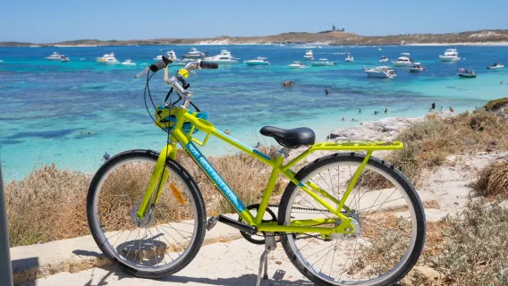 perjalanan satu hari Rottnest Island feri pulang pergi + sepeda di pulau tur mandiri antar-jemput Perth opsional