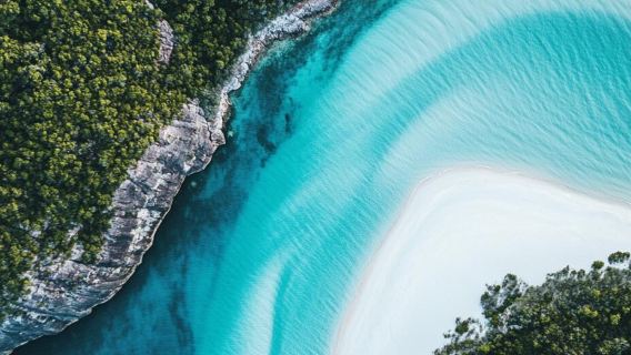 เมืองป่าฝนคูรันดา + สวนโคอาล่า + รถไฟ + แคนส์|รถเช่าเหมา ทัวร์วันเดียว/ทัวร์หลายวัน|ภาษาจีนและภาษาอังกฤษ