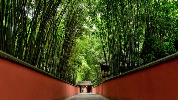 Tour privato personalizzato della città di Chengdu di 10 ore