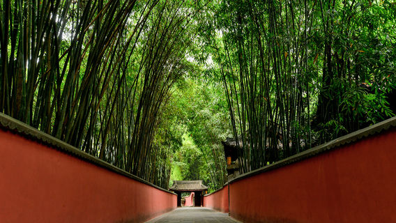 ChengduExperiences