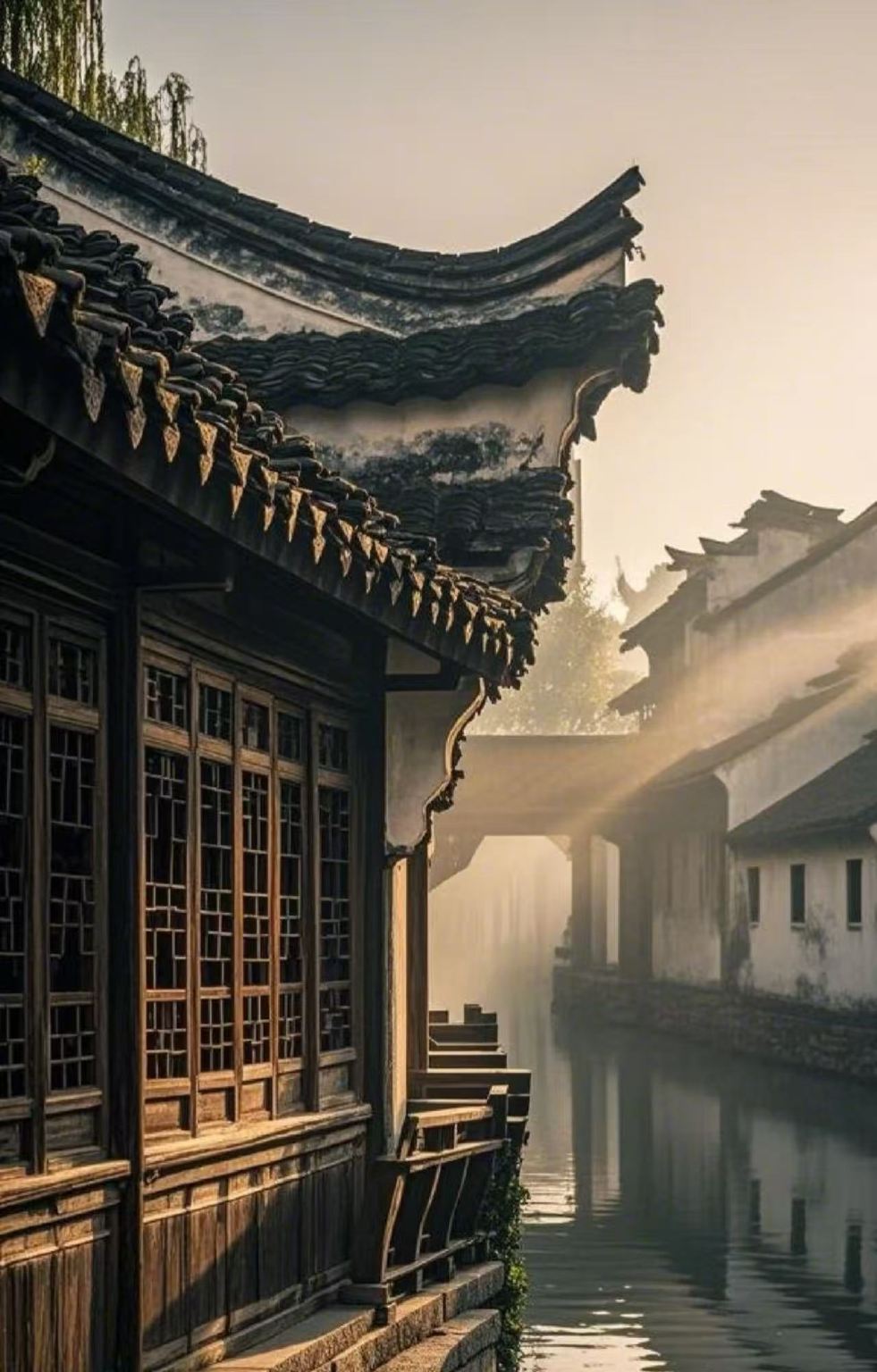 Jiaxing Wuzhen Xizha Dongzha notturno/inglese/guida in lingue minoritarie JY