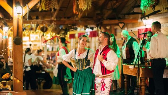 Prague: Traditional Dinner with Folk Show + Private Transfer