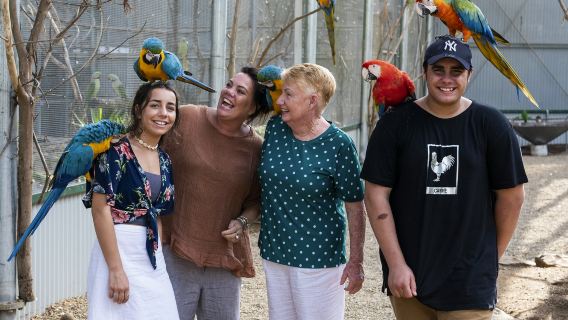 Maleny Botanic Gardens & Bird World: Entry Ticket