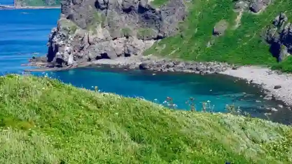 北海道神威岬+島武意海岸+小樽運河一日遊【 訂製包車團】