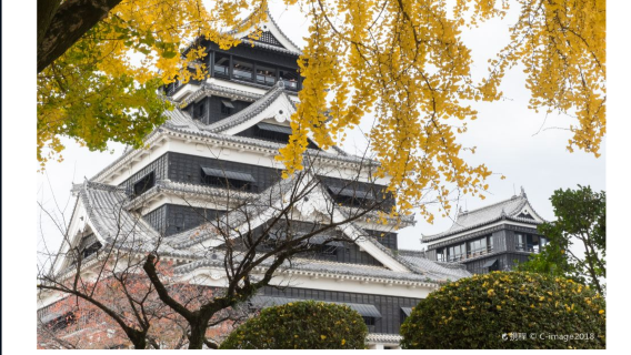 阿蘇市日遊
