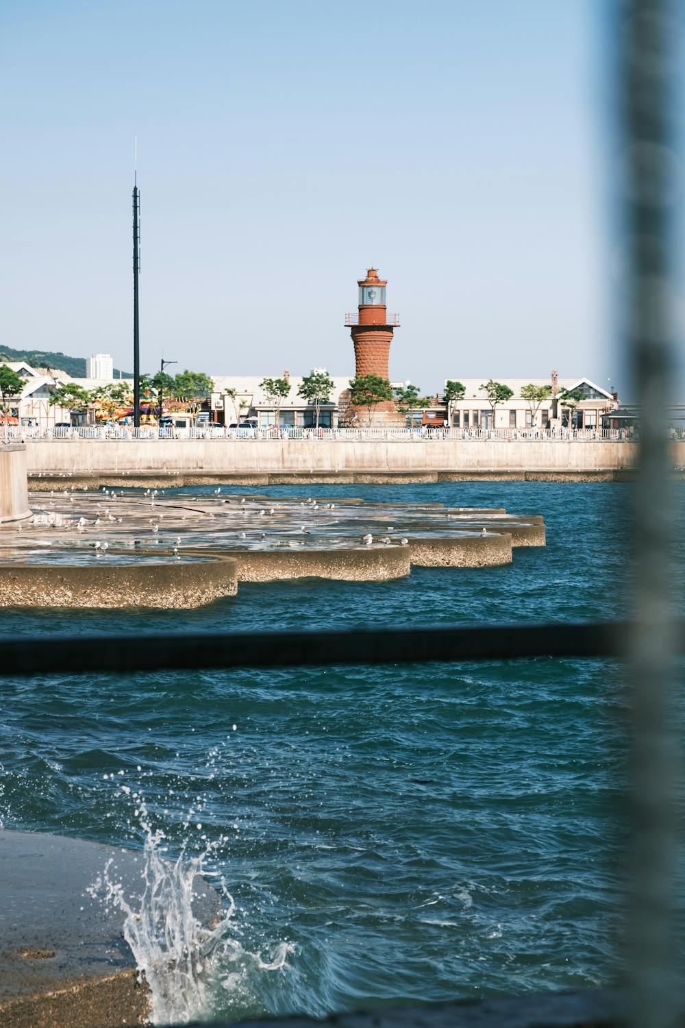 [Explore Dalian & Enjoy the Coastal Tour] Dalian Translation/Guide/Local Guide|Exhibition Translation/Business Translation|Attraction visits|Welcome to inquire