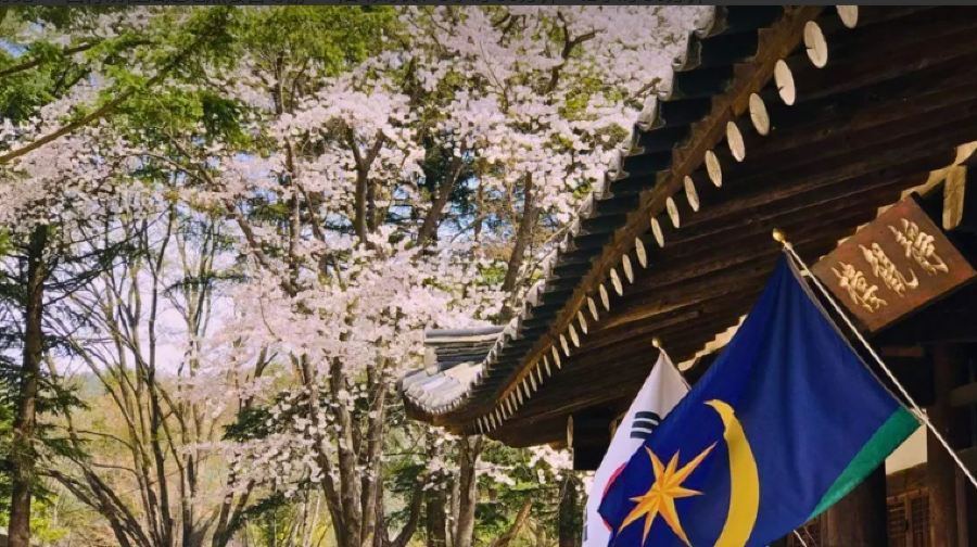 愛寶樂園/民俗村/昆池岩度假村包車一日遊