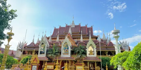 西雙版納翻譯/導遊/地陪|景點遊玩|英文/俄文/小語種|歡迎查詢