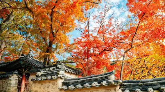 韓國慶州新羅古蹟一日遊 (釜山出發, 世界文化遺產)