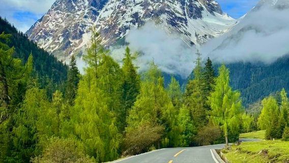 ○ Bipenggou one-day tour private group tour+ Nanqiao night view - car rental service - explore the natural journey in western Sichuan