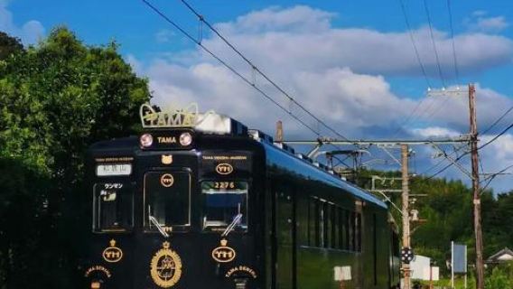 日本大阪+和歌山+三段壁+圓月島一日遊/行程可調-可客製化多日