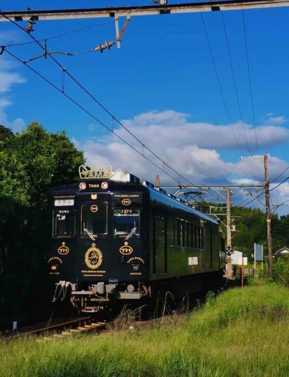 日本大阪+和歌山+三段壁+圓月島一日遊/行程可調-可定制多日