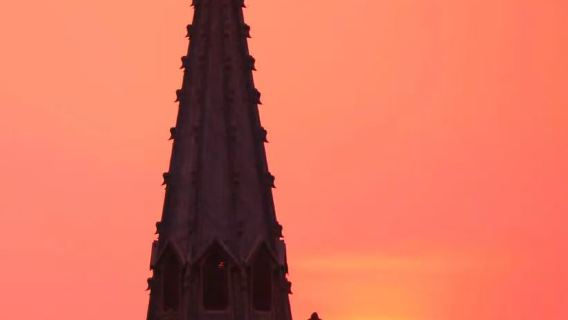 Service de guide touristique certifié à Ningbo (Pavillon Tianyi/Xikou-Tengtou/Résidence de la famille Jiang/Mont Xuedou/Village de pêcheurs chinois/Bund de Ningbo/Lac Dongqian/Musée de Ningbo/Vieille rue de Nantang, etc.)