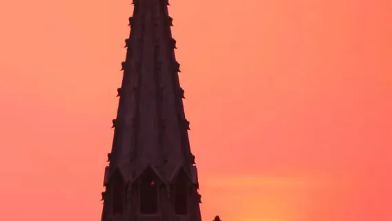 Ningbo certified guide service (Tianyi Pavilion/Xikou-Tengtou/Jiang's Former Residence/Xuedou Mountain/China Fishing Village/Old Bund/Dongqian Lake/Ningbo Museum/Nantang Old Street, etc.)